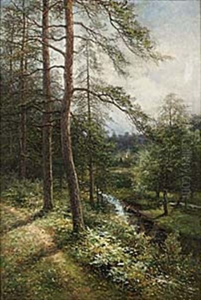 Skogsback, Motiv Fran Halland - view 1