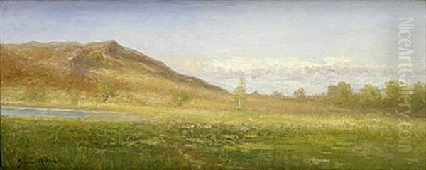 Gronskande Varlandskap - view 1