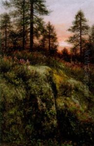 Svenskt Skogslandskap I Aftonljus by Johan Severin Nilsson
