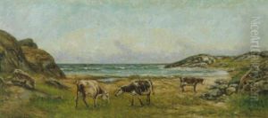 Strandlandskap Med Klippor Samt Betande Kor