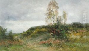 Bergbacke I Kolmarden Bergbacke I Kolmarden