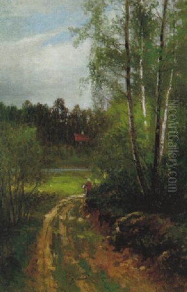 Svenskt Sommarlandskap Med Bjorkar Och Stuga - view 1