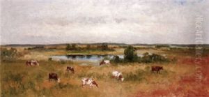 Landskap Med Kor Landskap Med Kor