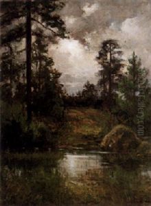 Skogslandskap Med Vattendrag
