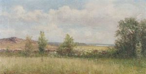 Sommarlandskap by Johan Severin Nilsson