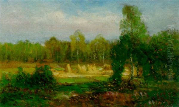 Sommarlandskap - view 1