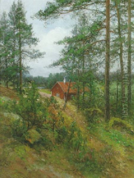 Skogslandskap Med Rod Stuga - view 1