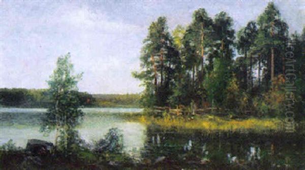 Insjolandskap Med Tallar - view 1