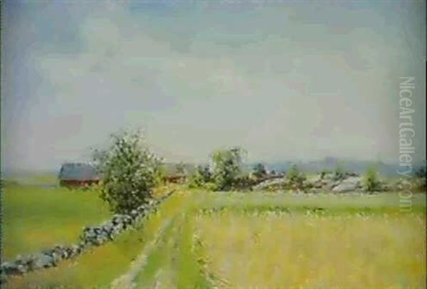 Svenskt Sommarlandskap Med Gard - view 1
