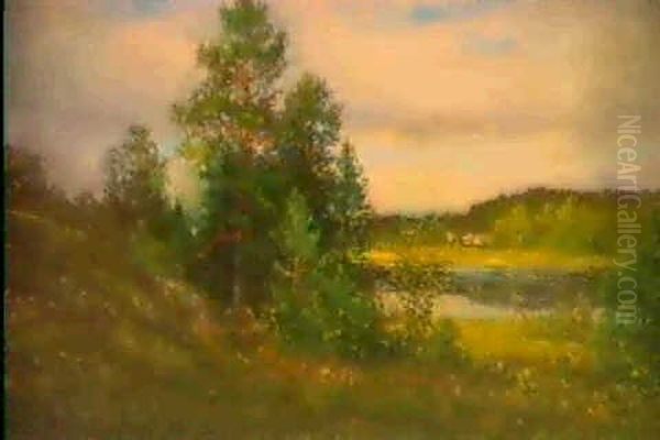 Sommarlandskap - view 1
