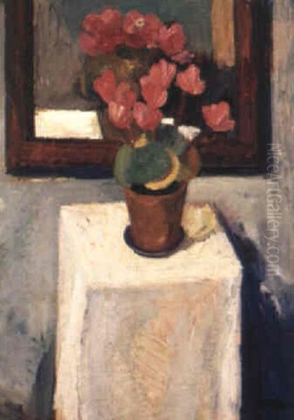 Rosa Cyklamen - view 1