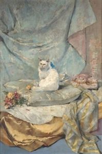 Gata Entre Cortinajes Y Almohadones by Jose Nin Y Tudo