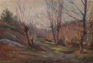 Sous-bois