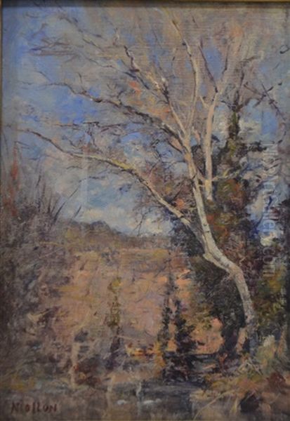 Arbre Dans La Campagne Aixoise - view 1