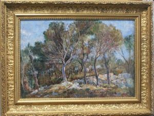 Pinede by Barthelemy Niollon