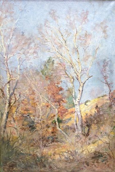Clairiere - view 1