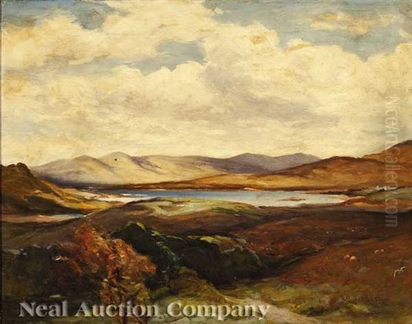 Lowland Landscape - view 1