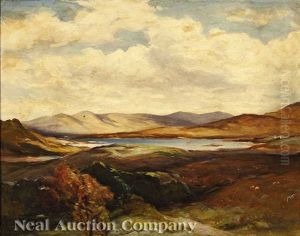 Lowland Landscape