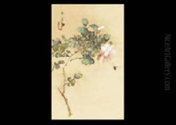 Rose - view 1