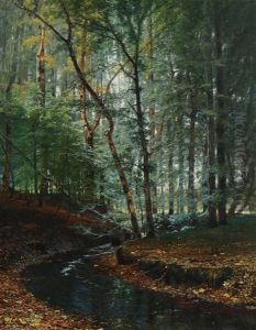 Forest Scene With A Winding Creek Forest Scene With A Winding Creek