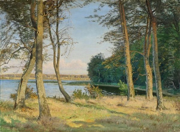 Lake Scenery With Houses In The Distance - view 1