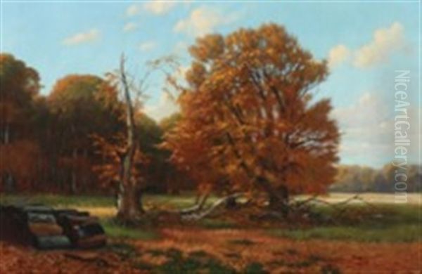 Fall At Dyrehaven By Copenhagen - view 1