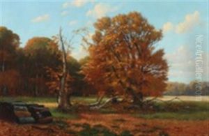 Fall At Dyrehaven By Copenhagen