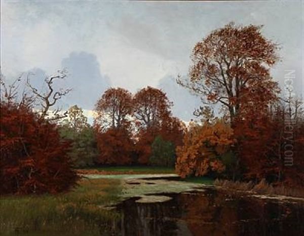 Forest Lake - view 1