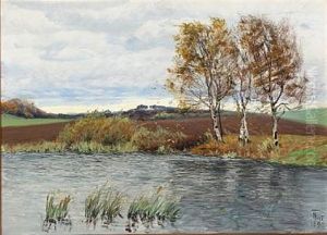 Landscape With Windy Weather