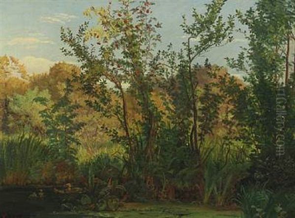 Forest Lake With Ducks - view 1