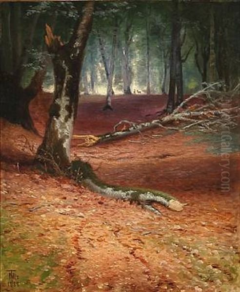 Autumn Forest Scene - view 1