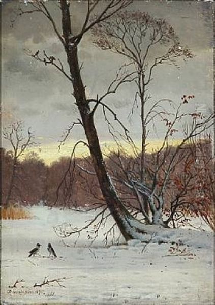 Winter Day In The Woods - view 1