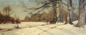 Winter Day In A Forest Winter Day In A Forest