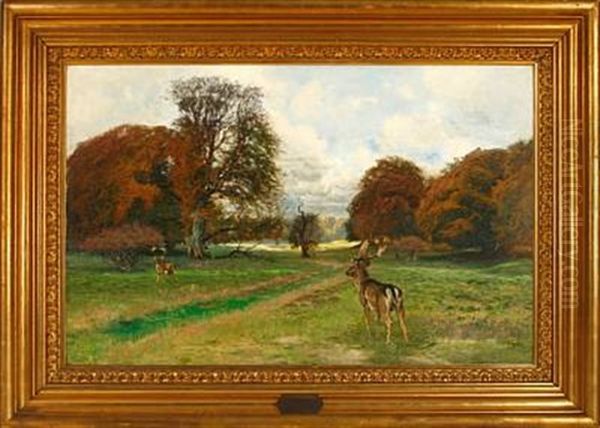 Scene From The Deer Gardens, Denmark - view 1
