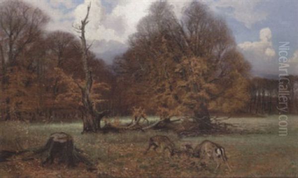 Efteraarsdag. Jaegersborg Dyrehave - view 1