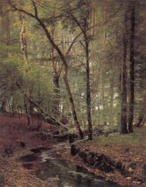 Motiv Fra Grib Skov - view 1