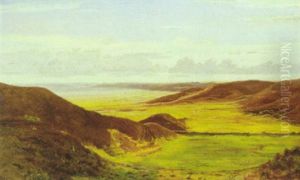 Lyngbakker Ved Hammershoj Ved Randers Lyngbakker Ved Hammershoj Ved Randers