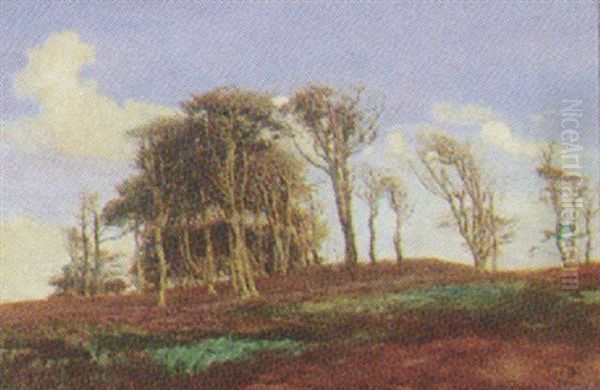 Lyngbakker Med Nogne Traeer - view 1