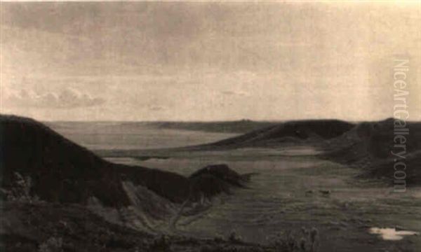 Heidelandschaft - view 1