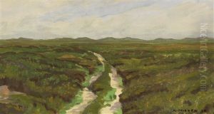 Heide Auf Romo