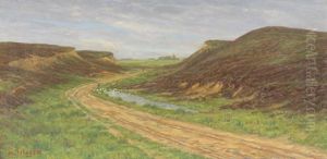 Landschaft In Nordschleswig Mit Gansehirtin