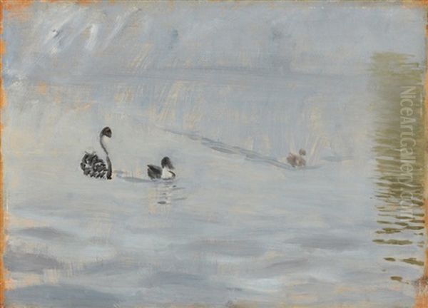 Cygnes Sur L'etang, Circa 1874 - view 1