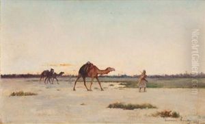 Chameaux Et Chameliers Aux Marches Du Desert Chameaux Et Chameliers Aux Marches Du Desert