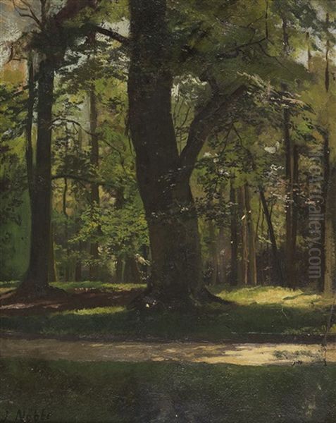Waldlichtung Im Tiergarten Berlin - view 1