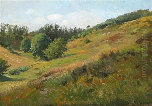 A Hilly Landscape - view 1