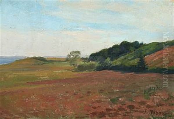 Landscape (flensburg Fjord) - view 1