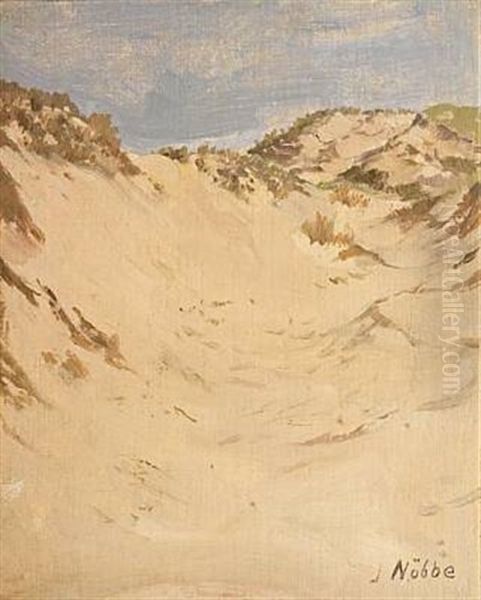 Sand Dunes - view 1