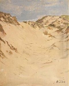 Sand Dunes Sand Dunes