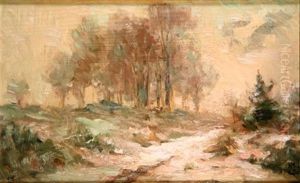 Paysage Enneige