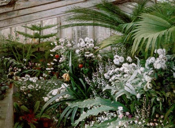In The Greenhouse - view 1